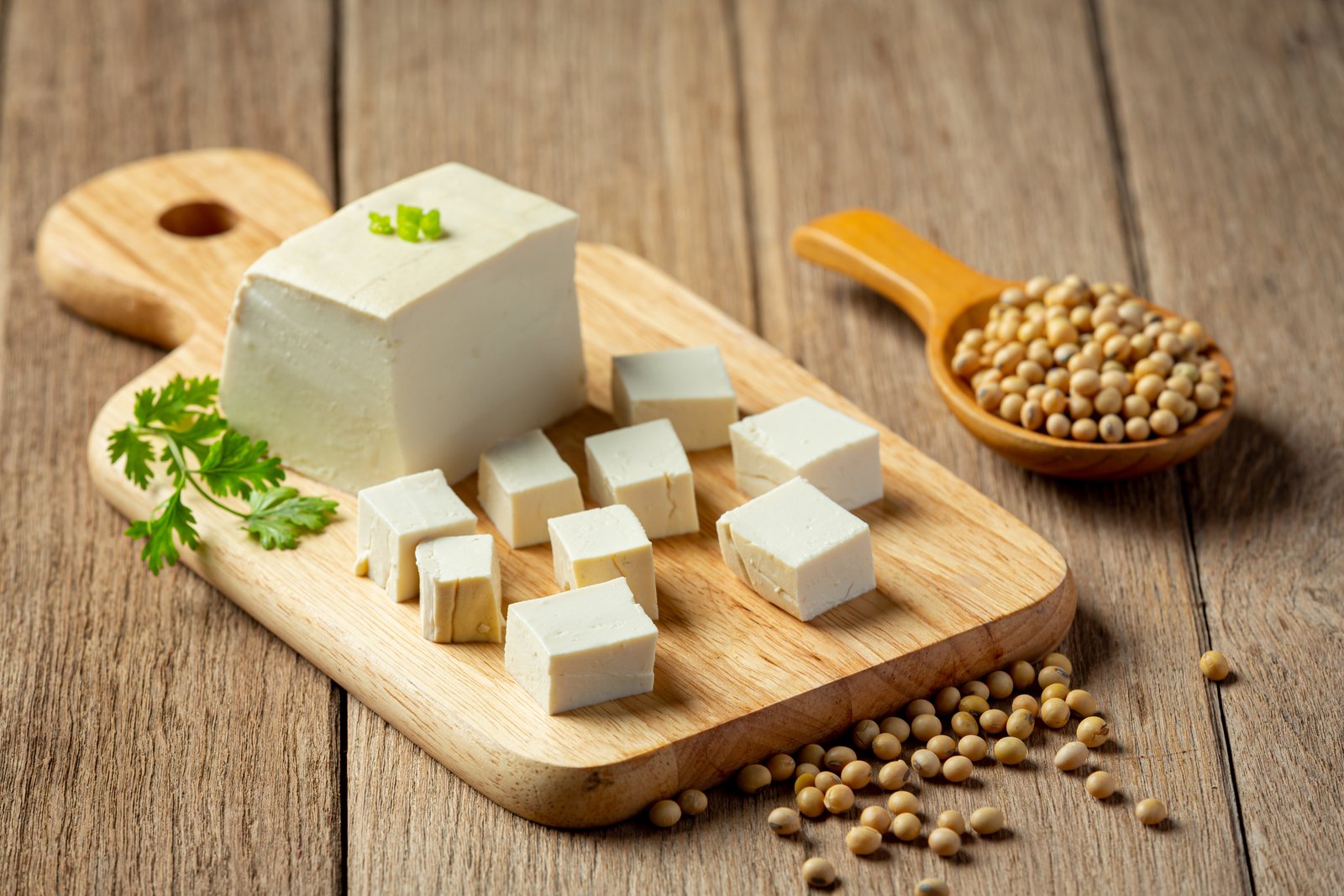 Premium Tofu Textures